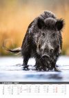 Kliknutím zobrazíte nástěnný kalendář pro rok 2027