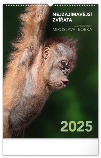 Kliknutím zobrazíte nástěnný kalendář pro rok 2025